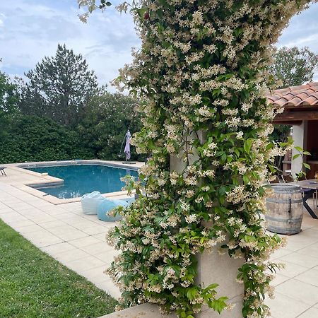 Villa Et Maisonnette Provencales Carpentras Ngoại thất bức ảnh
